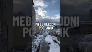 Međunarodni poslanik