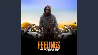 Feelings