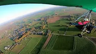 Ohey  nov 2024 depuis Avocette
