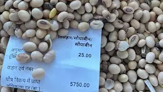 सोयाबीन 🔥🥳!! देवास मंडी सोयाबीन भाव 23 जनवरी 2026 !! लाइव अपडेट देखें फटाफट !!