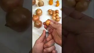 #shorts #agriculture #farming2026 #satisfying #machine #shot #tools  #EliteShortsUnleashed #7877