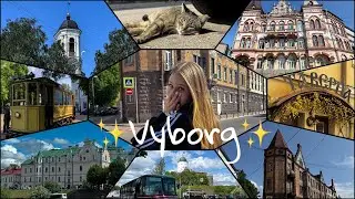 VLOG / Старая Швеция. Средневековый город. Экскурсия от Bleymi