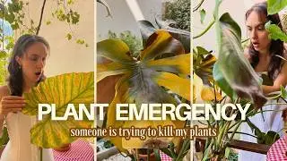 I Left My Houseplants Unsupervised&hellip; Now Look At Them | Slow Summer Day 🌼