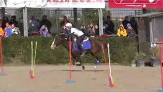 1^ TAPPA TROFEO 4 REGIONI 2018 - PRADAZZO OPEN