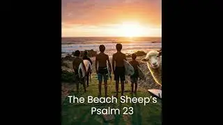 Psalm 23 The Beach Sheeps