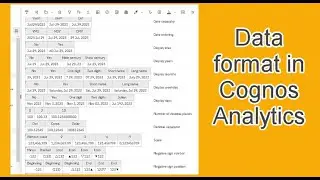270 Data Format in Cognos Analytics