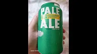 21 st AMENDMENT brew  PALE ALE  RONS BEER REVIEW TOOLS # 1047