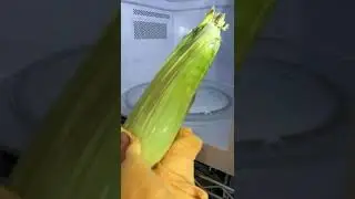 The fastest way to cook corn
