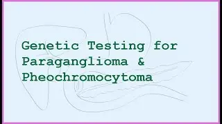 Pheochromocytoma and Paraganglioma: Genetic Testing for Patients and Families
