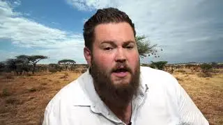 What About Malaria?