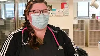 Bridgeport Veterinary Hospital PA: Veterinary Technician Bailey