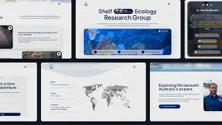 We designed a WordPress site using GSAP and Elementor - Shelf Ecology Research Group