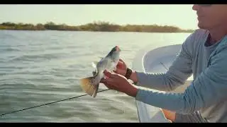 Reel Life in the Metaverse: Introducing the Trippy Fishing Club, a Fishing Club Revolution!