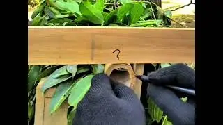 Simple trick to join corners with homemade tools  #woodworking  #creative  