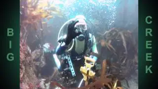 BIO75 - Scientific Diving / The Meter Tape