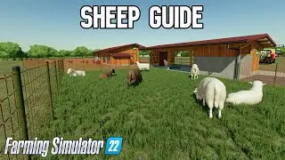 Sheep Guide Farming Simulator 22