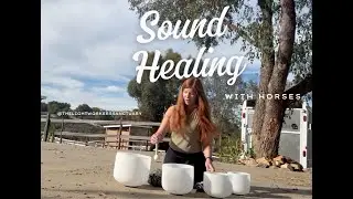 Sound Healing with Horses!