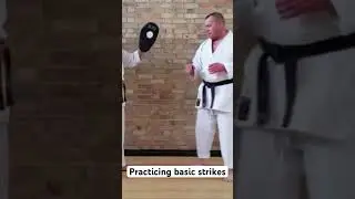 Basic Karate Strikes On The Focus Pads