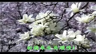 心碎的抱歉-羅時豐&張秀卿
