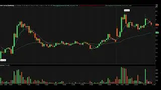 July 18th Day Trading Setups in NVAX TKNO CGC and NAAS Explained