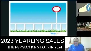 2023 Yearling Sales - The Persian King Lots Aged 2 In 2024