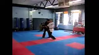 Martial moves by Gregor Engler