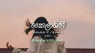 kailashini | කෛලාශිනී rain forest vibe slowed X reverb