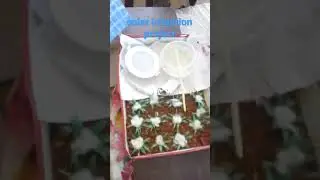 project of solar irrigation... very innovative and creative... must watch..