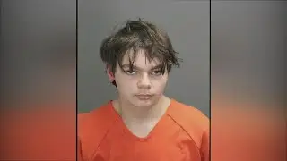 Michigan school shooting suspect to pursue insanity defense