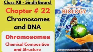 Chromosomes | Chemical Composition of Chromosomes | Class 12 Biology Chapter # 22 | Sindh Board