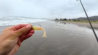 Big Lures for Big Fish - 2 Days of California Surf Perch Fishing
