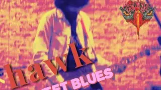 sweet blues|band|hawk| jimi shah|