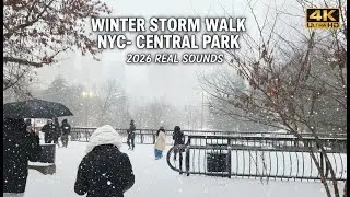 Central Park South Winter Storm 2026 | 4K NYC Snow Walk (Real Sounds) &mdash; No Talking