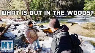 Whats in the woods ? Following the old walls roads & Trails Hiking & exploring