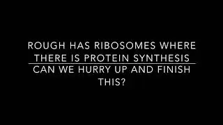 Cell Parts Song