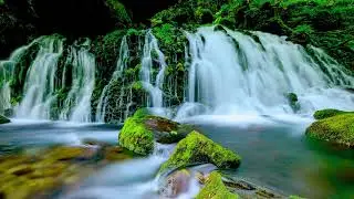 Paul Speer &middot; David Lanz - Behind The Waterfall