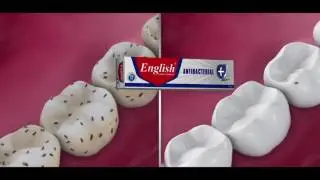 Hamood Ahmed SALAR English Toothpaste Urdu VO
