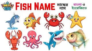 ২০টি মাছের নাম | 20 Fish Name | মাছের নাম বাংলা ও ইংরেজীতে | Fish Name in Bengali & English