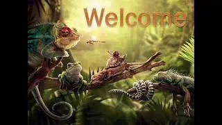 Kids science topic | REPTILES and it's characteristics