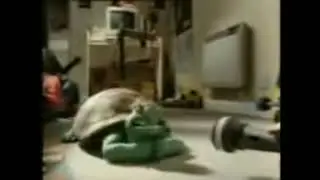 Turtle Song Persian Cover (Remake)