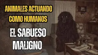 Animales actuando como humanos: 6 Historias de Terror enviadas por seguidores