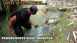 SUPER‼️ MANCING SIDAT MONSTER DI SUNGAI KECIL, TERNYATA PENGHUNINYA DI LUAR DUGAAN | BIG EEL