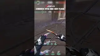 CORRODE VYSE ONE WAY FLASH