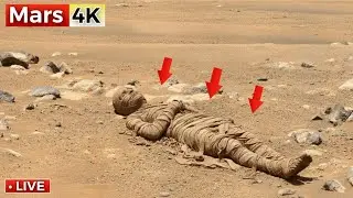 This 4K 360&deg; Mars Footage from NASA&rsquo;s Rover Has Everyone Talking | SOL 1542
