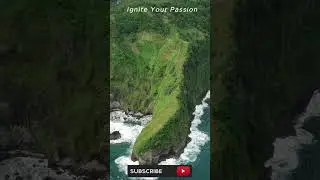 Exploring the Wilds of New Zealand: A Journey Through Unique Ecosystems and Diverse Wildlife🌱🍀🍀