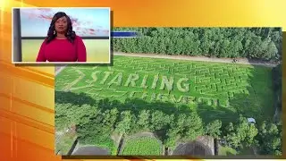 Boone Hall Pumpkin Patch to open for season Friday