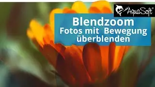 ANLEITUNG| BlendZOOM - Fotos mit Bewegung überblenden 🤸‍♂️