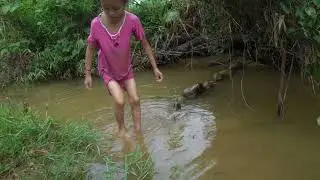 Orphan Girl Goes To The Forest Harvest Fish and Snails To Sell - Homeless Life/ Free Bushcraft