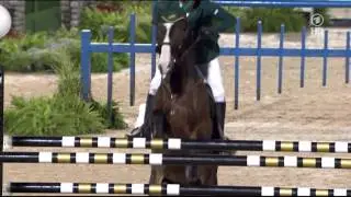 Abdullah al Sharbatly - Seldana di Campalto - WEG 2010 Ind 2