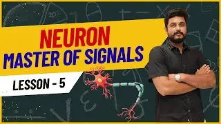 Neuron/neuroanatomy/nervous system/neuron Hindi#neuroanatomy #nervoussystem#brain #yt #anatomy 